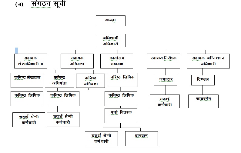 Organizational Chart